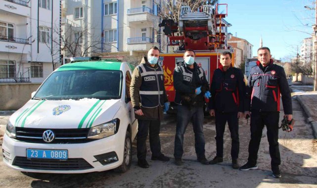 Elazığ'da çatıda mahsur kalan kedi için HAYDİ ve itfaiye ekipleri seferber oldu