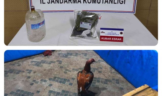 Elazığ'da horoz dövüşü operasyonu: 17 kişi yakalandı