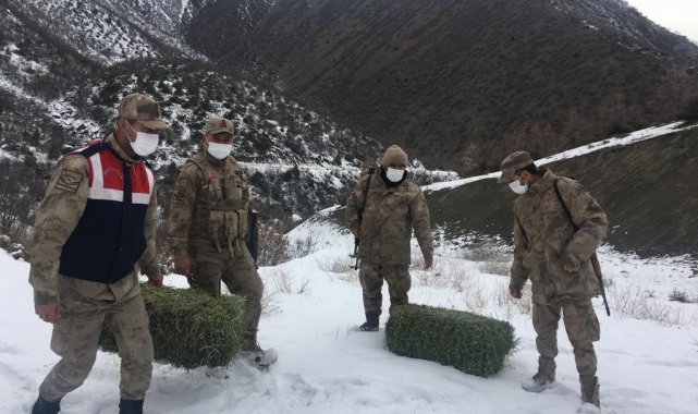 Elazığ&#039;da jandarma, yaban hayatı için doğaya yem bıraktı