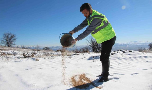 Elazığ'da sokak ve yaban hayvanları için 90 farklı noktaya yem bırakıldı