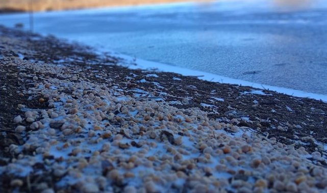 Elazığ'da Sülüklü Göl buz tuttu