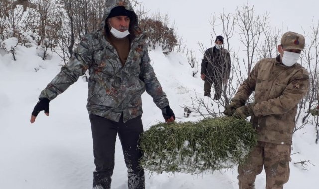 Elazığ&#039;da yaban hayvanları için doğaya yem bırakıldı