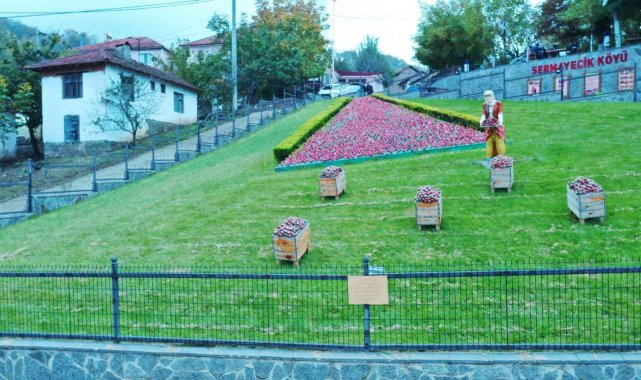 Elit mekanların gözde çileği bu yıl 550 ton üretildi