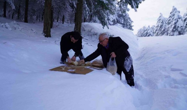 Erbaa'da yaban hayatı için doğaya yiyecek bırakıldı