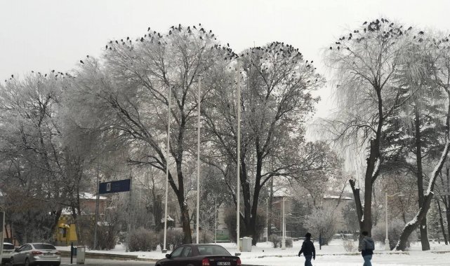 Erzincan son 40 yılın en soğuk günlerini yaşıyor