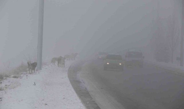 Erzincan'ı sis, pus, kırağı sardı