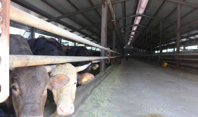 Erzurum'a 42 milyon hibe desteği