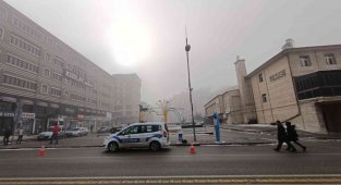 Erzurum'da yoğun sis görüş mesafesini düşürdü, ağaçlar kırağı tuttu