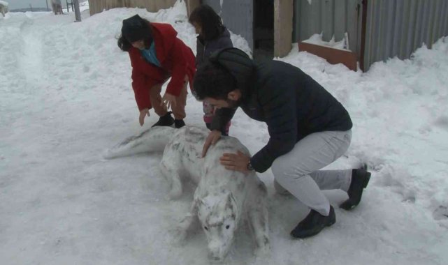 Eşinin yaptığı kardan adamı beğenmedi, ortaya şaheser çıkarttı