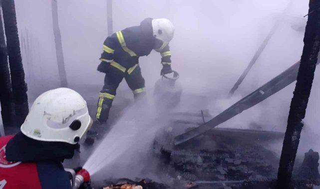 Evi yanan komşusuna yardım etmek isterken canından oldu
