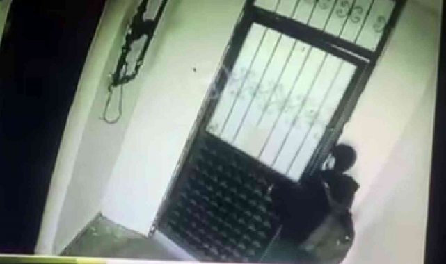 Fare gibi apartman boşluğunda gezen hırsız, bir saat içinde üç daireye girdi