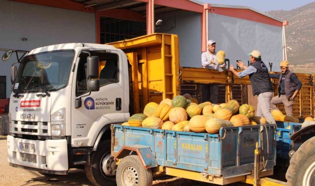 Faydalı böcek üretiminde yeni ürün: &quot;Bal kabağı&quot;