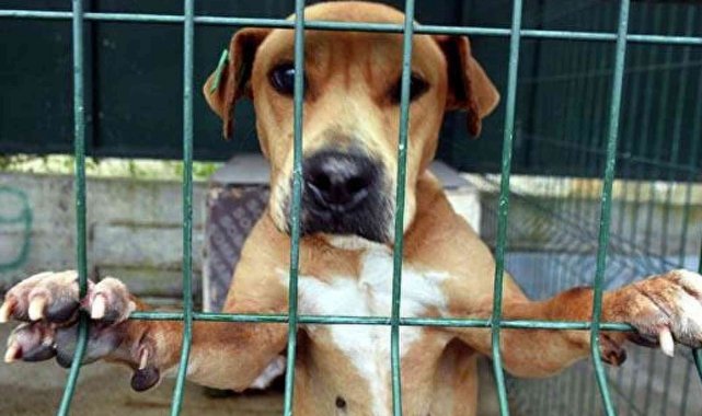 Fethiye Belediyesi'nden örnek uygulama