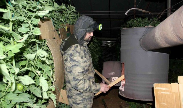 Fethiye&#039;de seracıların sobalı zirai don nöbeti