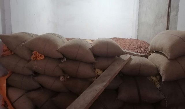 Fındık fiyatı yeni yıla artışla başladı