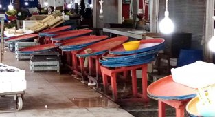 Fırtına ve soğuk hava balık tezgahlarını boşalttı