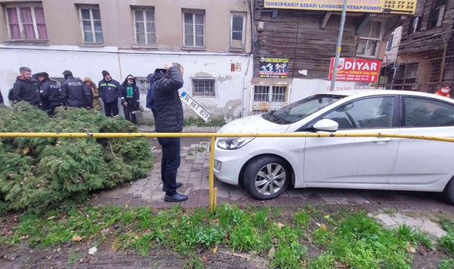 Fırtınanın uçurduğu ağaçlar araçların üzerine devrildi