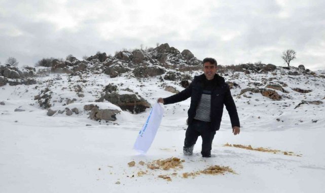 Gazeteciler Cemiyeti yaban hayvanlarını unutmadı, doğaya yem bıraktı
