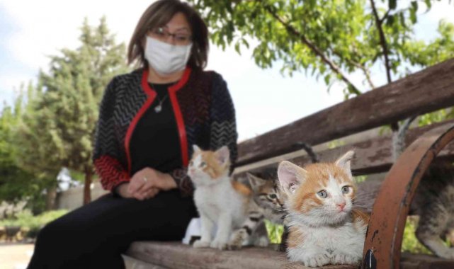 Gaziantep&#039;te 2021&#039;de yaklaşık 7 bin sokak hayvanı tedavi edildi