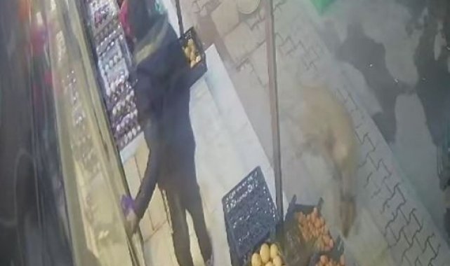 Gaziantep'te dehşet saçan pitbull güvenlik kamerasında