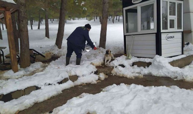 Gaziantep'te karakışta sokak hayvanları unutulmadı