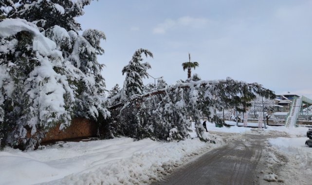 Gaziantep'te kardan çatılar çöktü, ağaçlar kırıldı