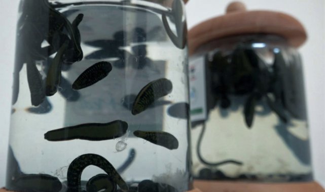 Geleneksel tıbbi yöntemler