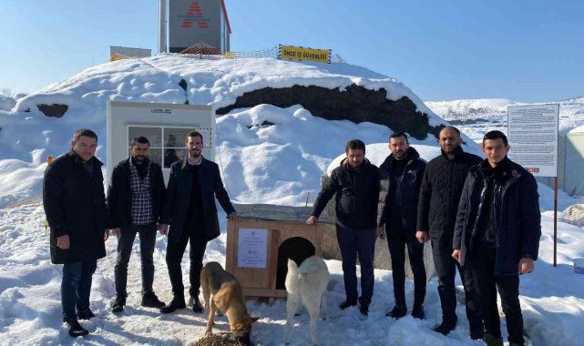 Gençler can dostlarımızı yalnız bırakmadı