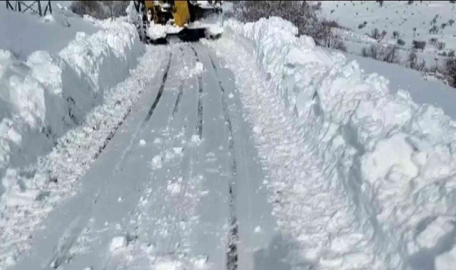 Gercüş'te köylerdeki hastaların imdadına Özel İdare ve sağlık ekipleri koşuyor