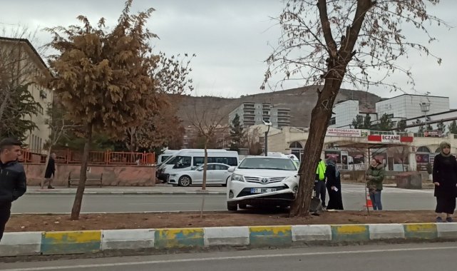 Gercüş'te refüje çıkan otomobil ağaca çarparak durabildi