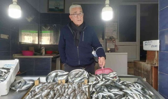 Giresunlular hamsiye hasret kaldı