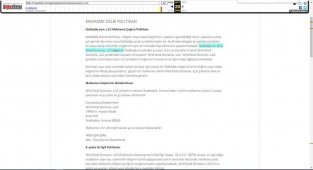 Godaddy'in gasp ettiği internet alan adlarını açık artırmayla satışa çıkardığı iddia edildi