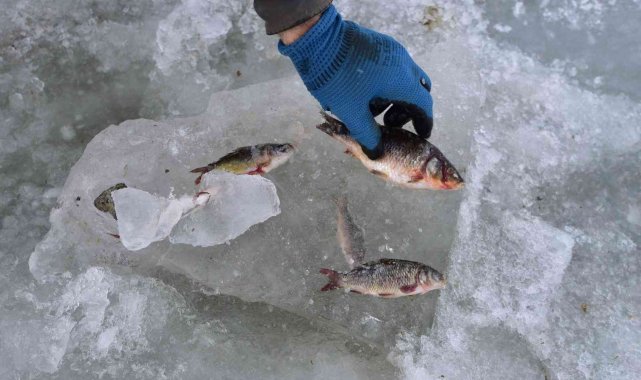 Göldeki balıklar suyla beraber dondu