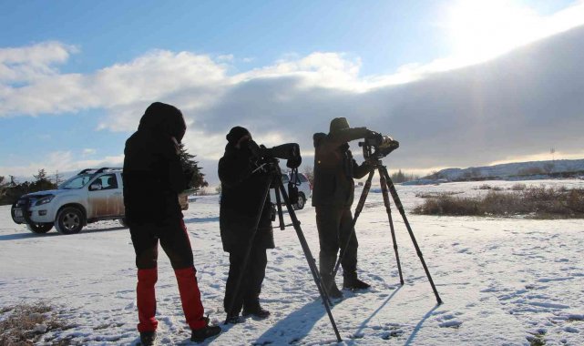 Göller yöresindeki su kuşları bir bir sayılıyor