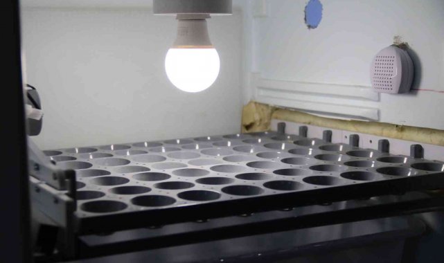 Görme engelli mesai arkadaşının hayalini böyle gerçekleştirdi