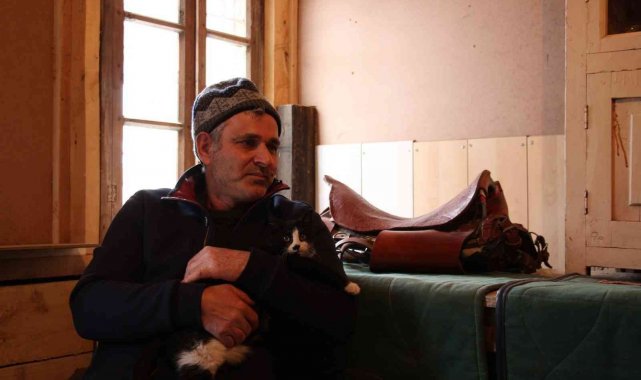 Göz bebeği yeşil kedi dikkat çekiyor