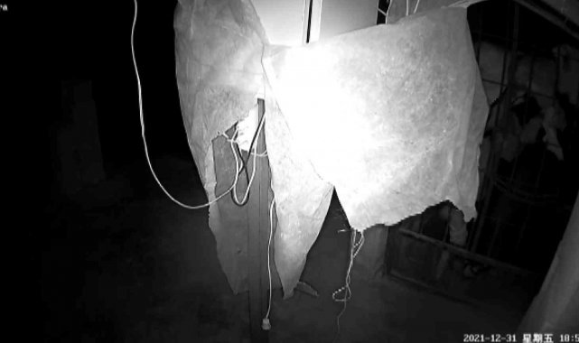 Güneş paneli hırsızları 4 denemede de başarılı olamadı