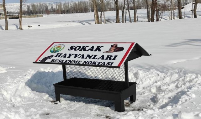 Güroymak Belediyesi sokak hayvanlarına sahip çıktı