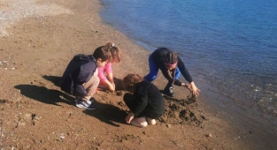 Güzel havayı fırsat bilen sahile indi