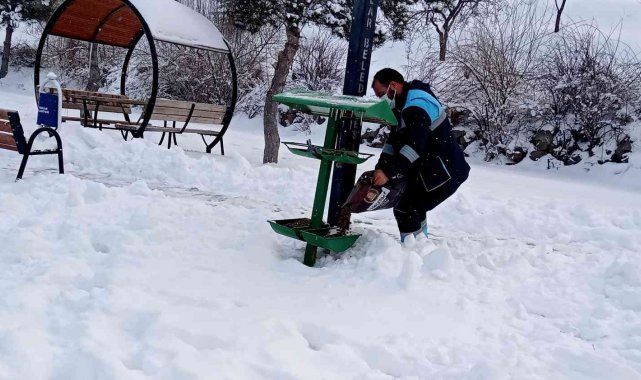 Hacılar&#039;da sokak hayvanları unutulmuyor