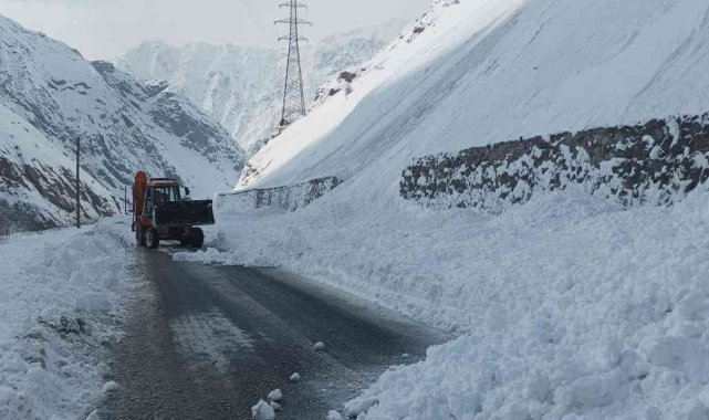Hakkari-Van karayoluna çığ düştü