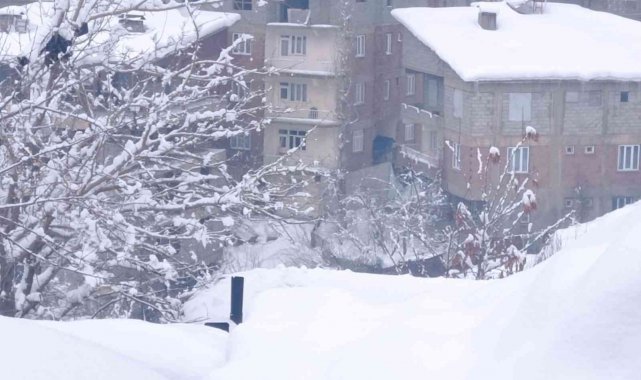 Hakkari'de 155 yerleşim yeri yolu ulaşıma kapandı