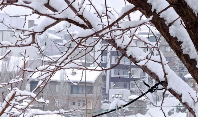 Hakkari'de 21 yerleşim yeri yolu ulaşıma kapandı