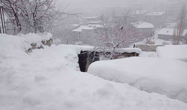 Hakkari'de 58 yerleşim yerinin yolu kapandı
