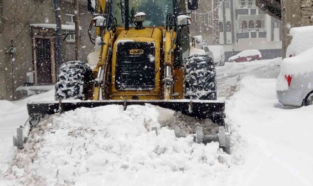 Hakkari'de 94 yerleşim yerinin yolu kapandı