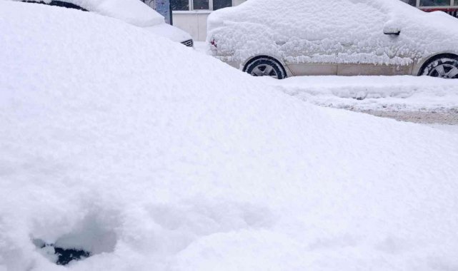 Hakkari'de 95 yerleşim yerinin yolu kapandı