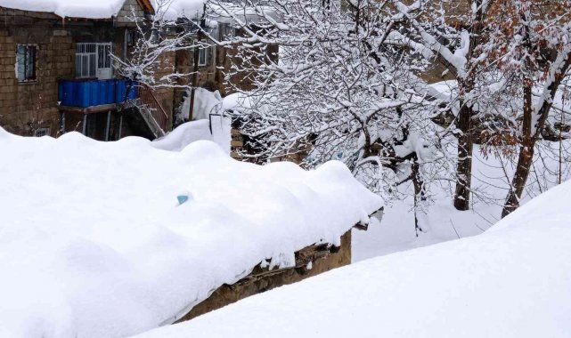 Hakkari'de 97 yerleşim yeri yolu ulaşıma kapandı