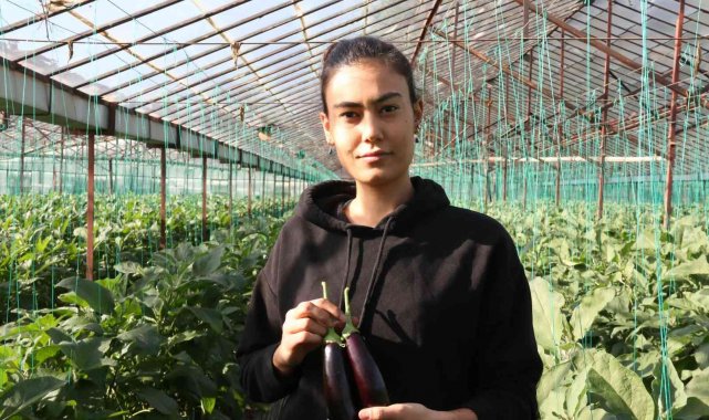 Halde 12, pazarda 15 TL olan patlıcan, Tarım Kredi Kooperatifi marketinde 19,90 TL