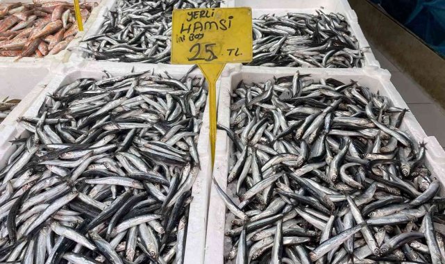 Hamsi 25 TL'ye düştü