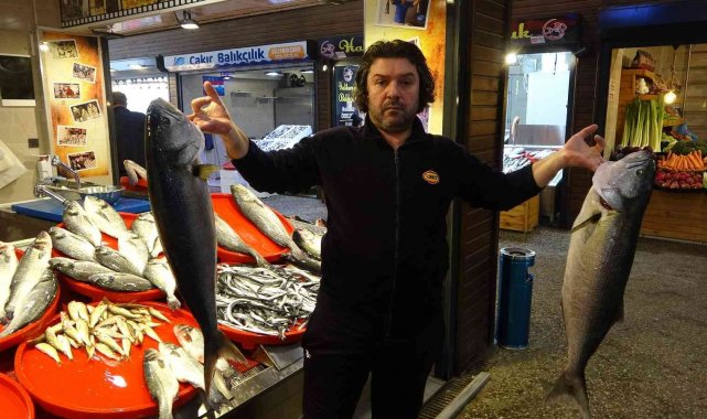 Hamsi yok ama balık halinin kralı çifte kofanalar oldu